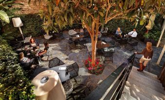Olivia Plaza Hotel property photograph
